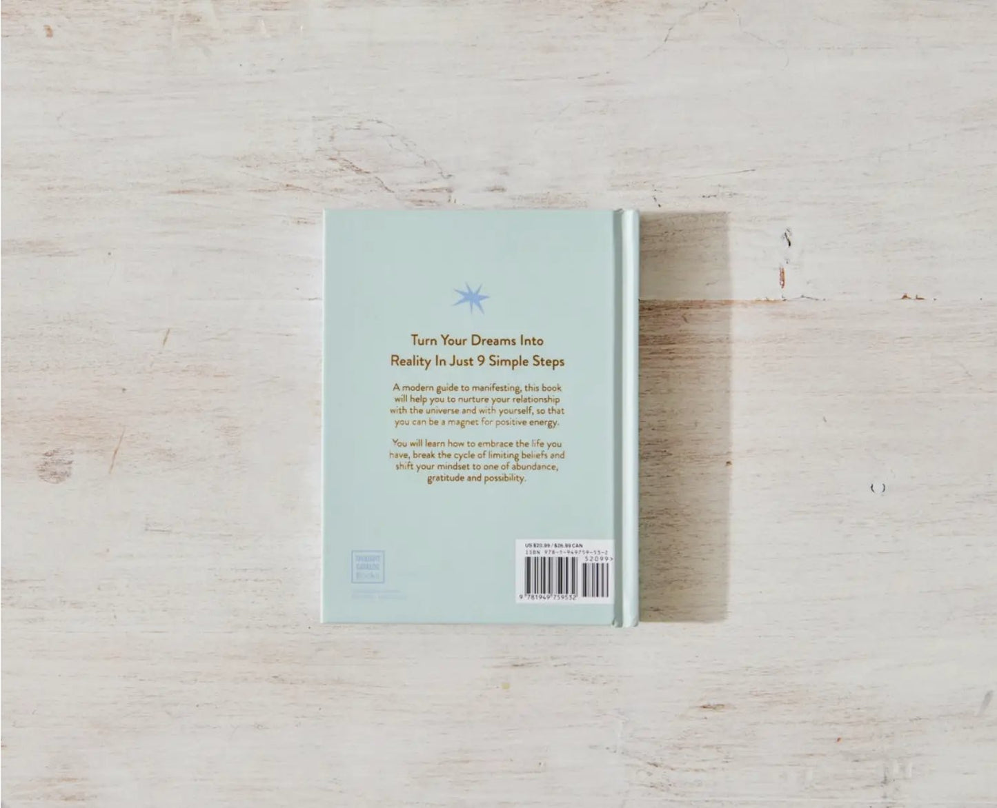 Manifesting For Beginners - Addie Rose Boutique - Austin