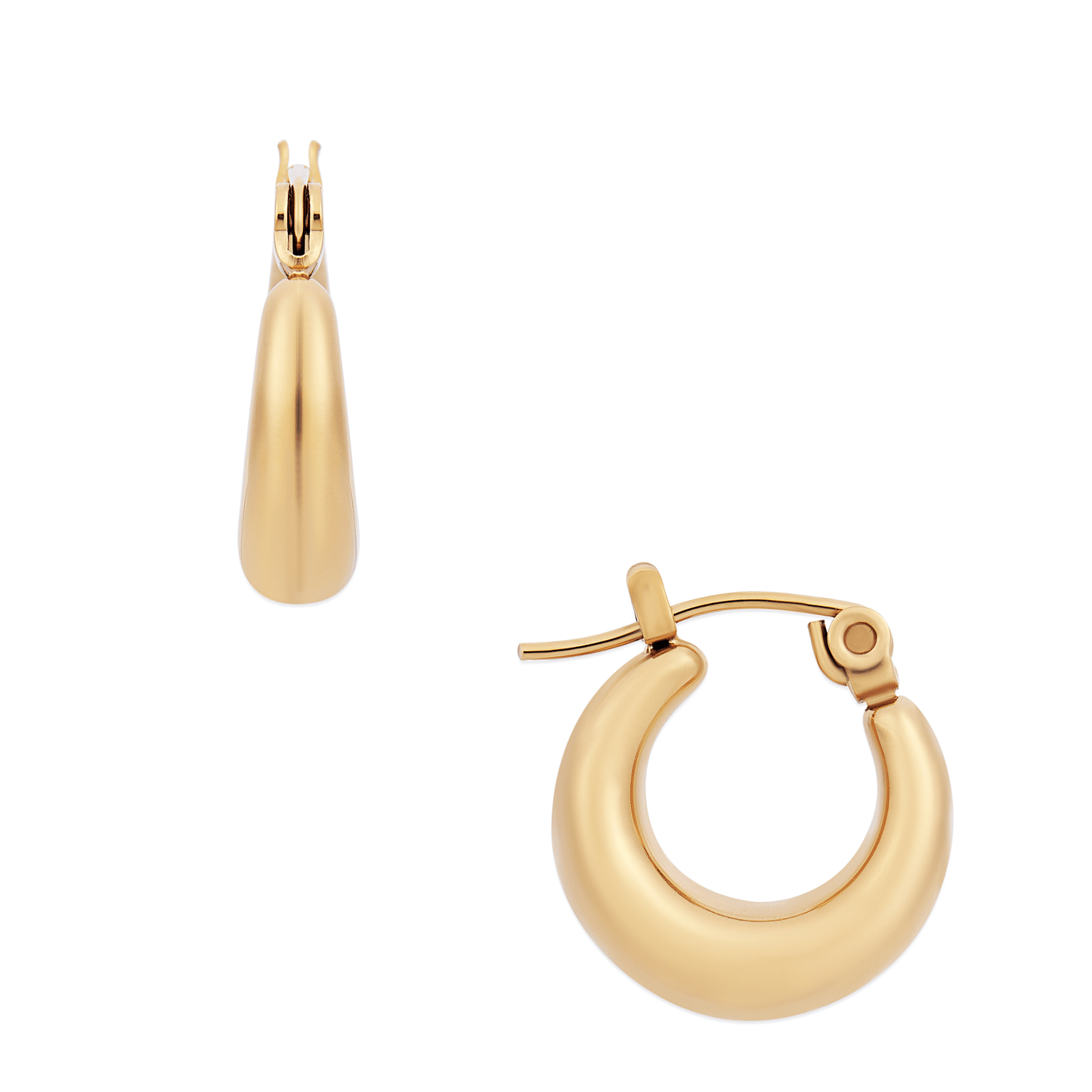Anastasia Mini Hoop Earring