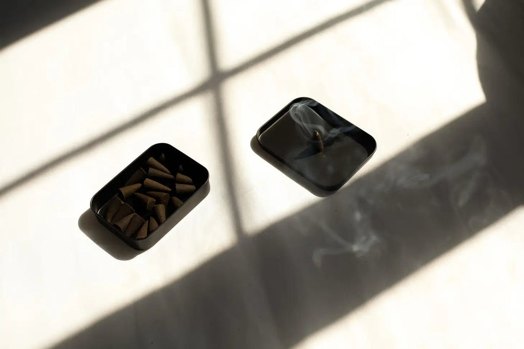 Dilo Cactus Flower Incense Cones - Addie Rose Boutique - Austin