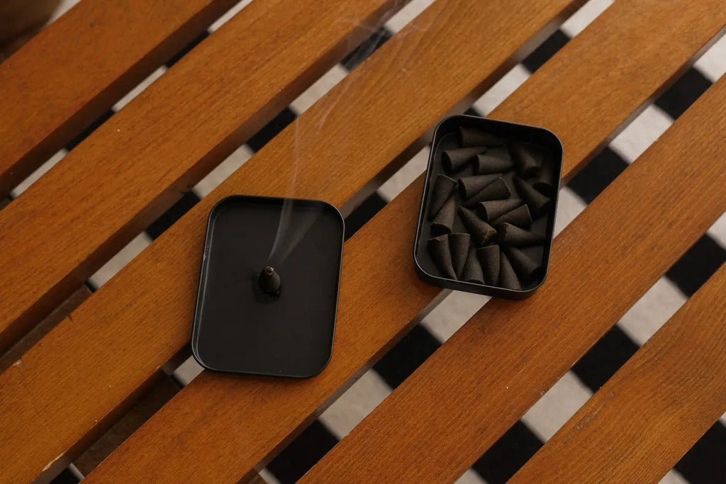 Dilo Cactus Flower Incense Cones - Addie Rose Boutique - Austin