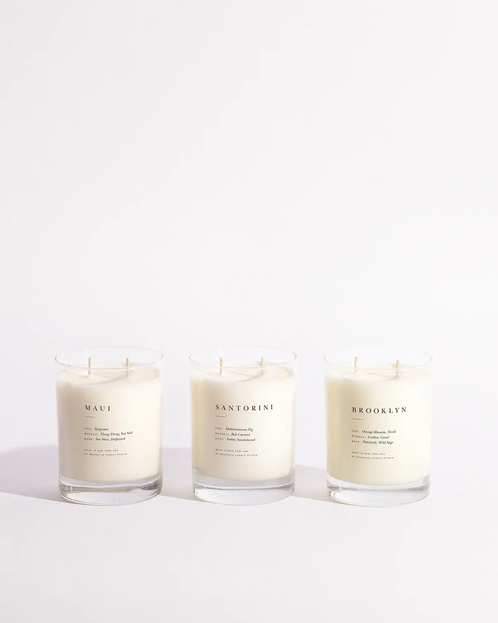 Brooklyn Candle Studio - Fern + Moss Classic 2-Wick Candle